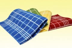 2011-06-07-162810_DSC0069